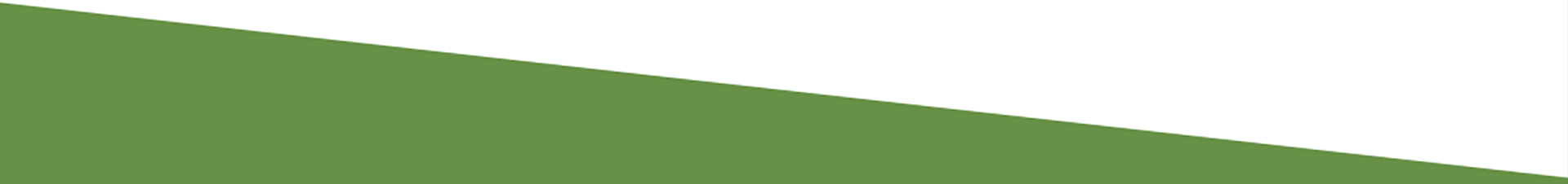 divider-white-green