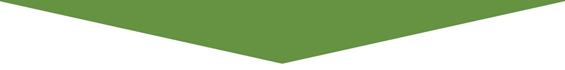 divider-green-white